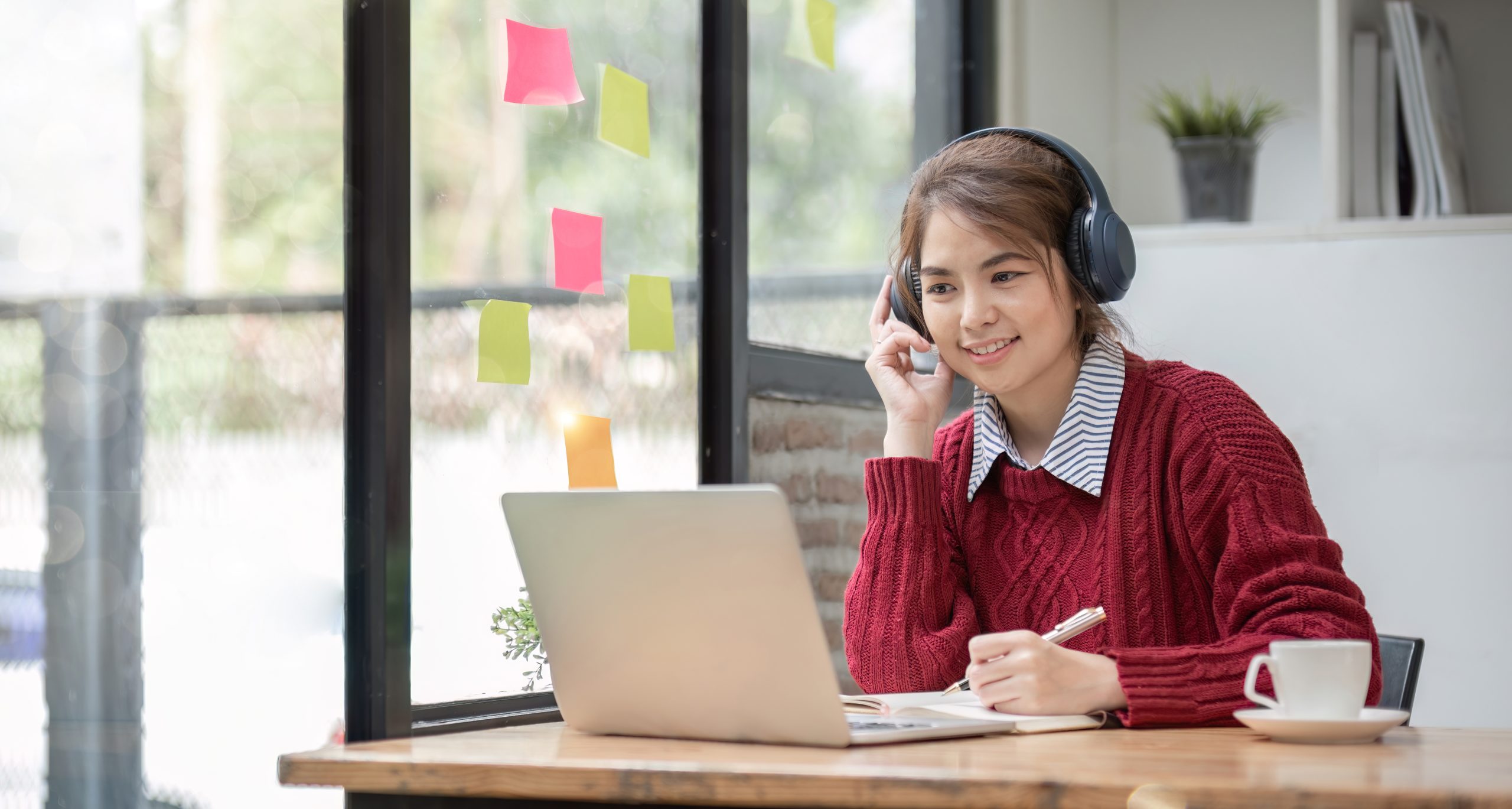 Distance Learning Pre-Master’s Programme (DL PMP)